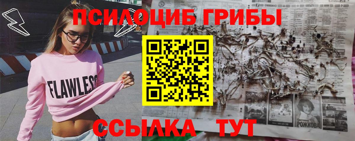Ессентуки  Псилоцибиновые грибы Psilocybe  Вход с VPN 